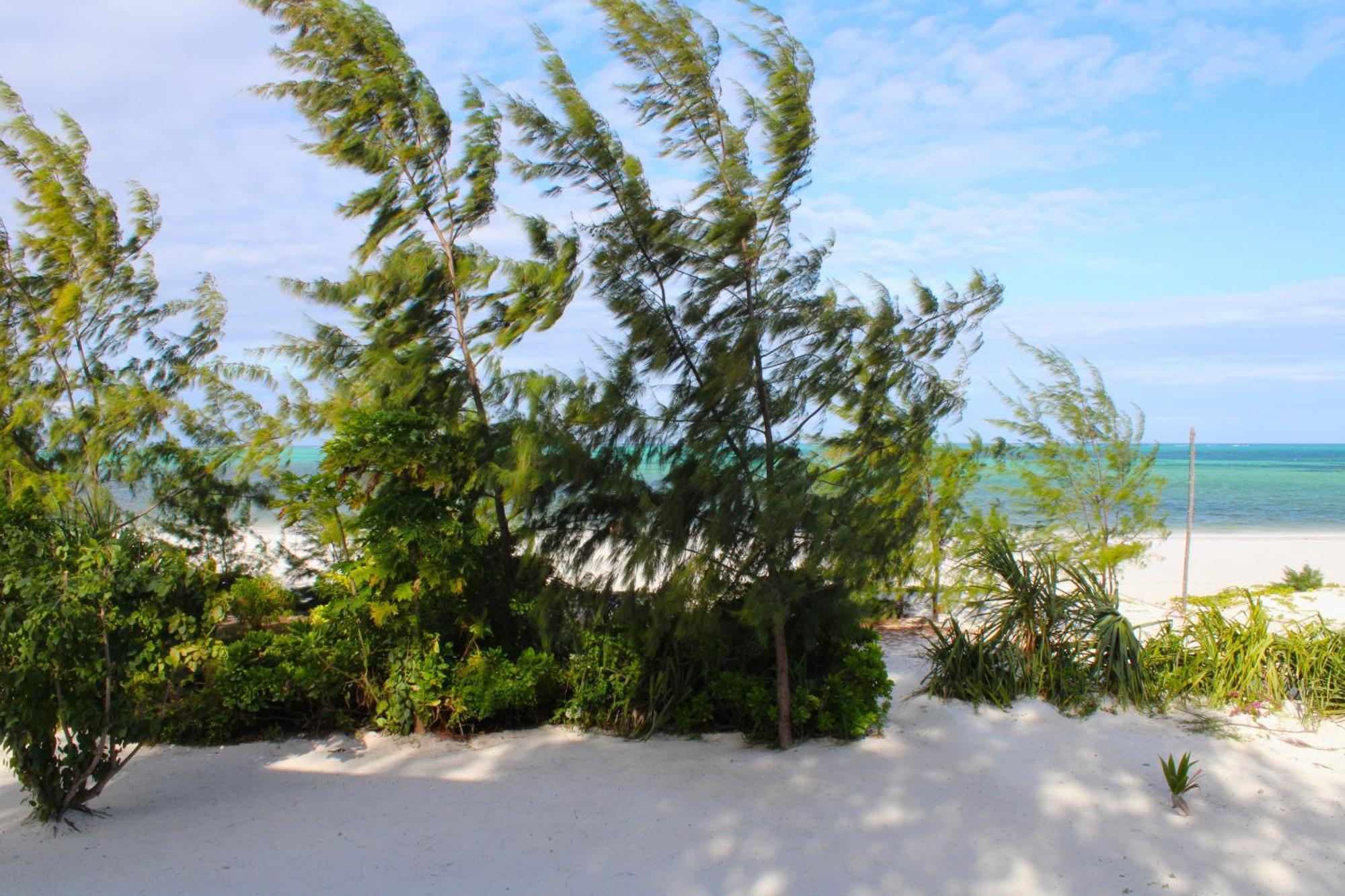 Kivuli Beach Resort Paje Exterior foto